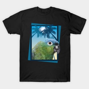 Mealy Amazon T-Shirt